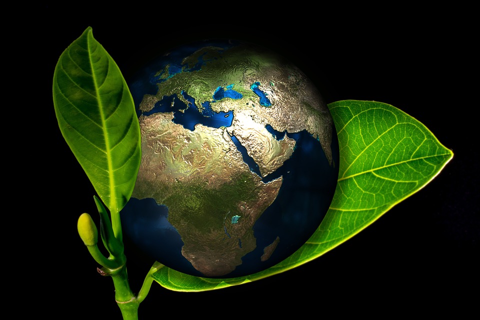 25 Ways for Your Small Business Reduce Its Carbon Footprint